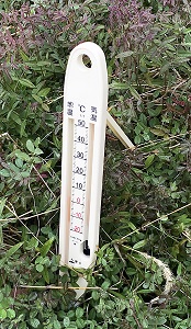 AP-250